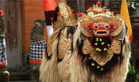 indonesia tour packages from india