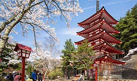 japan tour packages