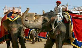 Romantic Rajasthan Tour