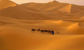 jaisalmer tour packages